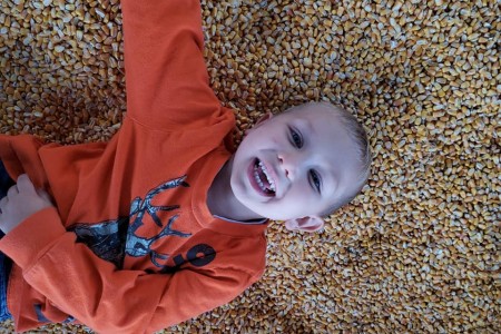 FallHarvest 1 courtesy PortFarms