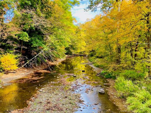 Asbury Woods creek 2 resized WEB