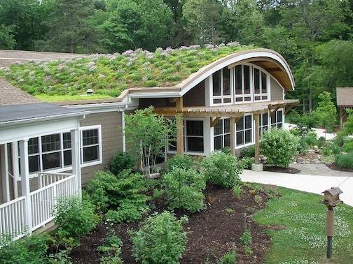 Eco Friendly in Erie v2